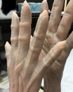 200-saru-hands-02.jpg