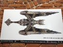 sdcc-prop-exhibit-concept-art-03.jpg