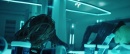 505-mirrors-0780.jpg