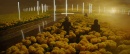 510-life-itself-0563.jpg