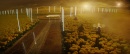 510-life-itself-0564.jpg